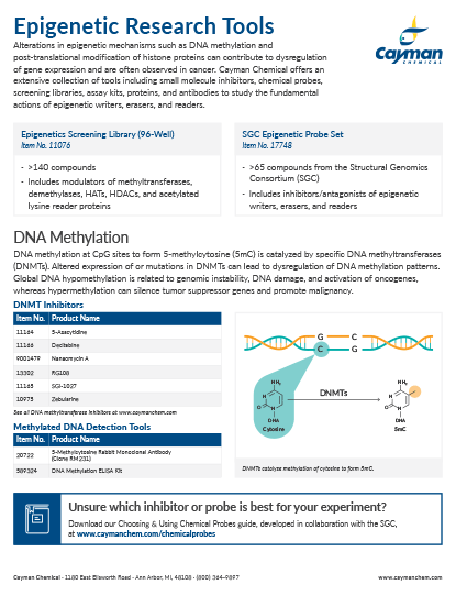 <p>​Epigenetic Research Tools<br></p>